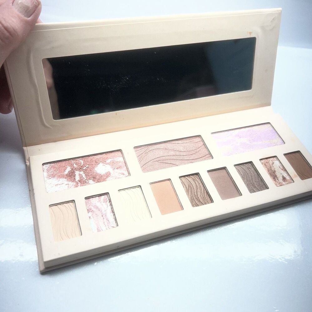 Blushing Nudes Ellen Tracy  Impeccable 12 Color Palette